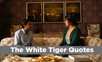 Read more about the article The White Tiger quotes, the Netflix Quotes
