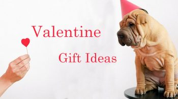 Read more about the article Top 10 Valentine Gift Ideas