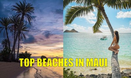 top beaches in maui for next vacation