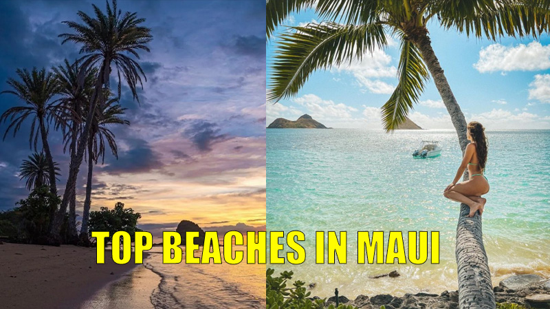 THE 10 Top-Rated (BREATHTAKING)  Maui Beaches (with Photos)